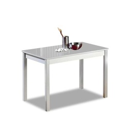 ASTIMESA Mesa de Cocina Fija Gris 100x60 cms