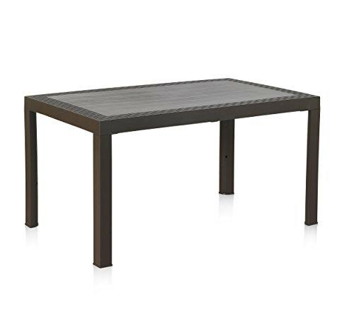 Sp berner - Dream wengue. mesa resina 140x85x73 cm